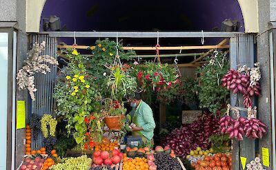 A local market scene in Mannheim. unsplash@filipp romanovski