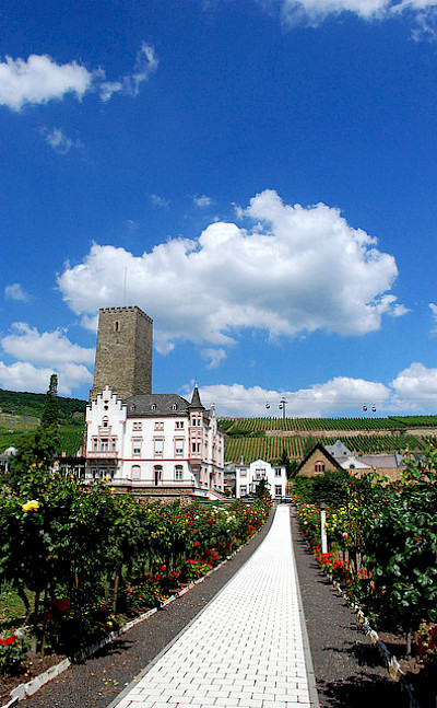 Beautiful countryside of castles and vineyards near Rudesheim, Germany. Photo via Flickr:Chico