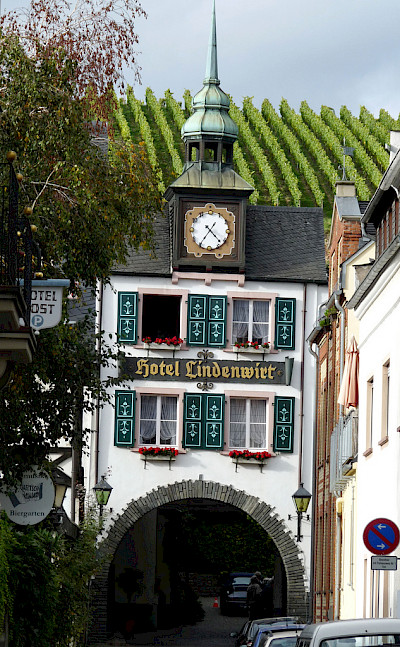 More vineyards and amazing architecture in and around Rudesheim, Germany. Photo via Flickr:Michael Clarke Stuff