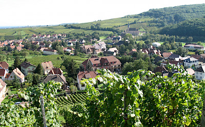 Vine-covered hills in Andlau, Alsace, France. Flickr:Francois Schnell