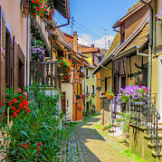 Pearls of the Alsace Wine Route Photo