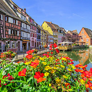 Pearls of the Alsace Wine Route Photo