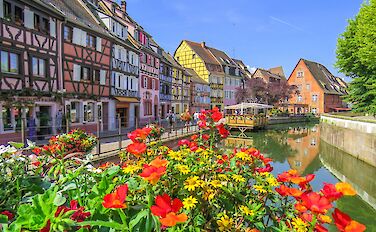 Pearls of the Alsace Wine Route