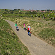 Pearls of the Alsace Wine Route Photo