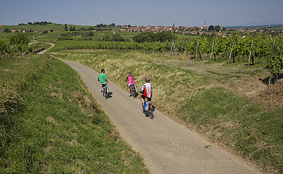 Along quiet roads on this bike tour of Alsace, France. Flickr:©Espace Randonnee