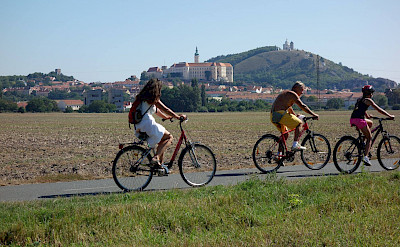 Moravia Bike Tour through Poland, Czech Republic and Austria. Photo via Tour Operator