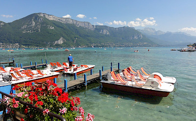 Swimming maybe in Lake Annecy, France. Flickr:jean-louis Zimmermann