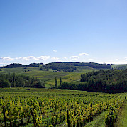 Bordeaux a Sarlat Foto