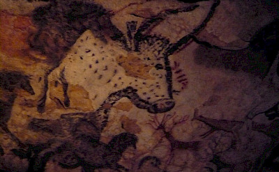 Lascaux cave paintings. Flickr:Christine McIntosh