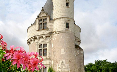 Part of Château de Chenonceau near Chenonceaux, France. Flickr:Ploync