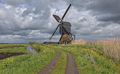 Biking through polderlands. ©Hollandfotograaf