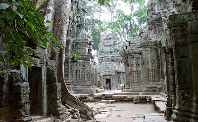 Temple of Ta Prohm made famous by Tomb Raider in Cambodia. Flickr:Photo Dharma