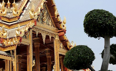 Topiary tree outside a temple in Bangkok, Thailand bike tour. Unsplash@Rock Vincent Guitard
