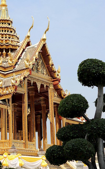 Topiary tree outside a temple in Bangkok, Thailand bike tour. Unsplash@Rock Vincent Guitard