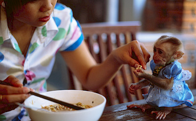 Sharing noodles in Vietnam. Flickr:Anton Novoselov