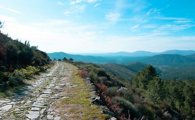 Countryside, Extremadura, Spain. Unsplash:Carlos Hernandez