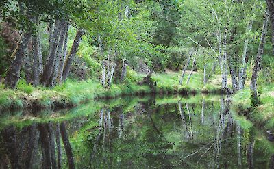 River, Estremadura, Spain. Unsplash:Carlos Hernandez