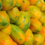Sri Lanka Spice Trails Photo