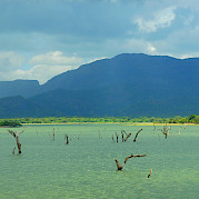 Sri Lanka Spice Trails Photo