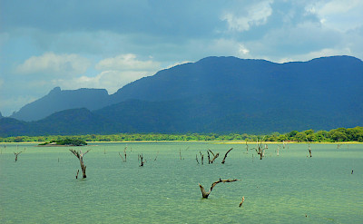 Gorgeous waters in Sri Lanka. Photo via TO