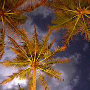 Sri Lanka Photo