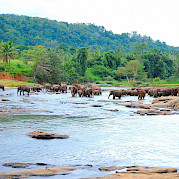 Sri Lanka Photo