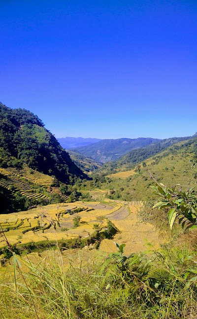 Fields and hills of Loboc, Philippines. Unsplash@Steve Sahrii