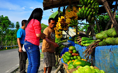 Roadside fruit stand to refresh your bike tour. Cebu City, Cebu Island Province, the Philippines. Flickr:whologwhy