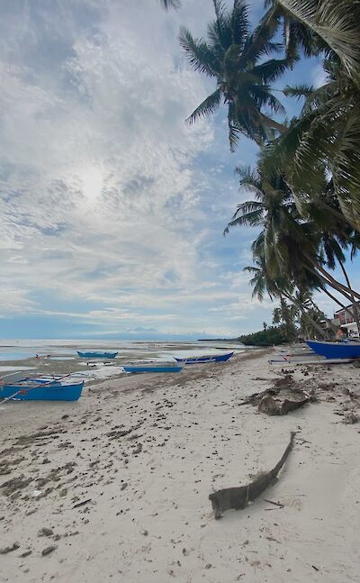 Siquijor, Philippines. Photo by TripSite's Laverne