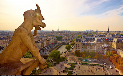 Gargoyle at Notre Dame Cathedral in Paris, France. Flickr:Moyan Brenn