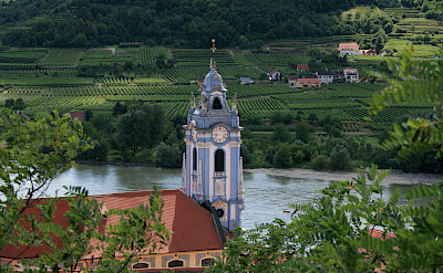 Durnstein within the vineyards of the Wachau wine region, Austria. Flickr:jay8085