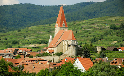 Weißenkirchen in the Wachau wine region, Austria. Flickr:Cha gia Jose