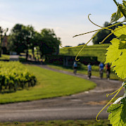 Bordeaux - Châteaux, Rivers & Wine Photo