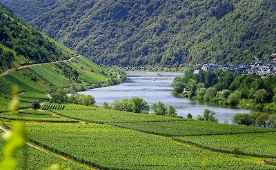 Biking & Boating along the Mosel River. ©TO