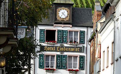 Rudesheim's great architecture and vineyards along the Rhine River, Germany. Flickr:michael clarke stuff
