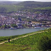 Mainz to Cologne - Rüdesheim & Bingen in Germany. ©TO