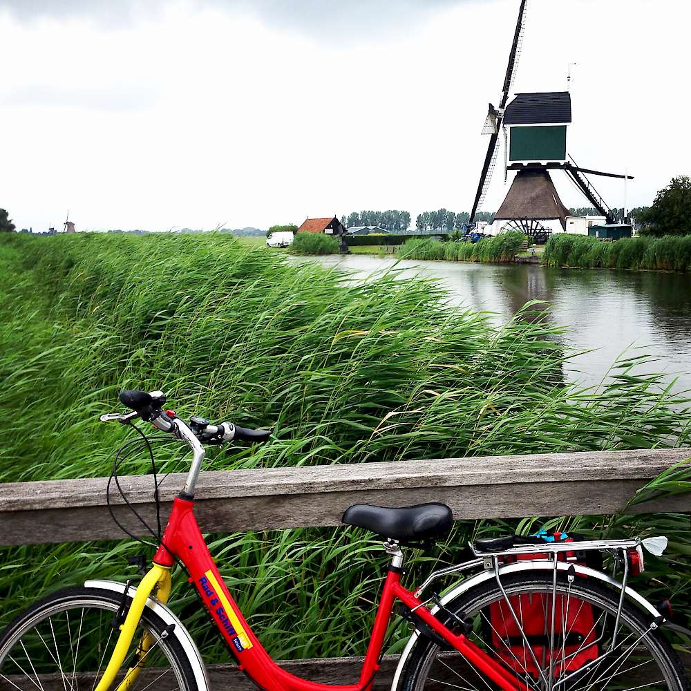 Kinderdijk windmills