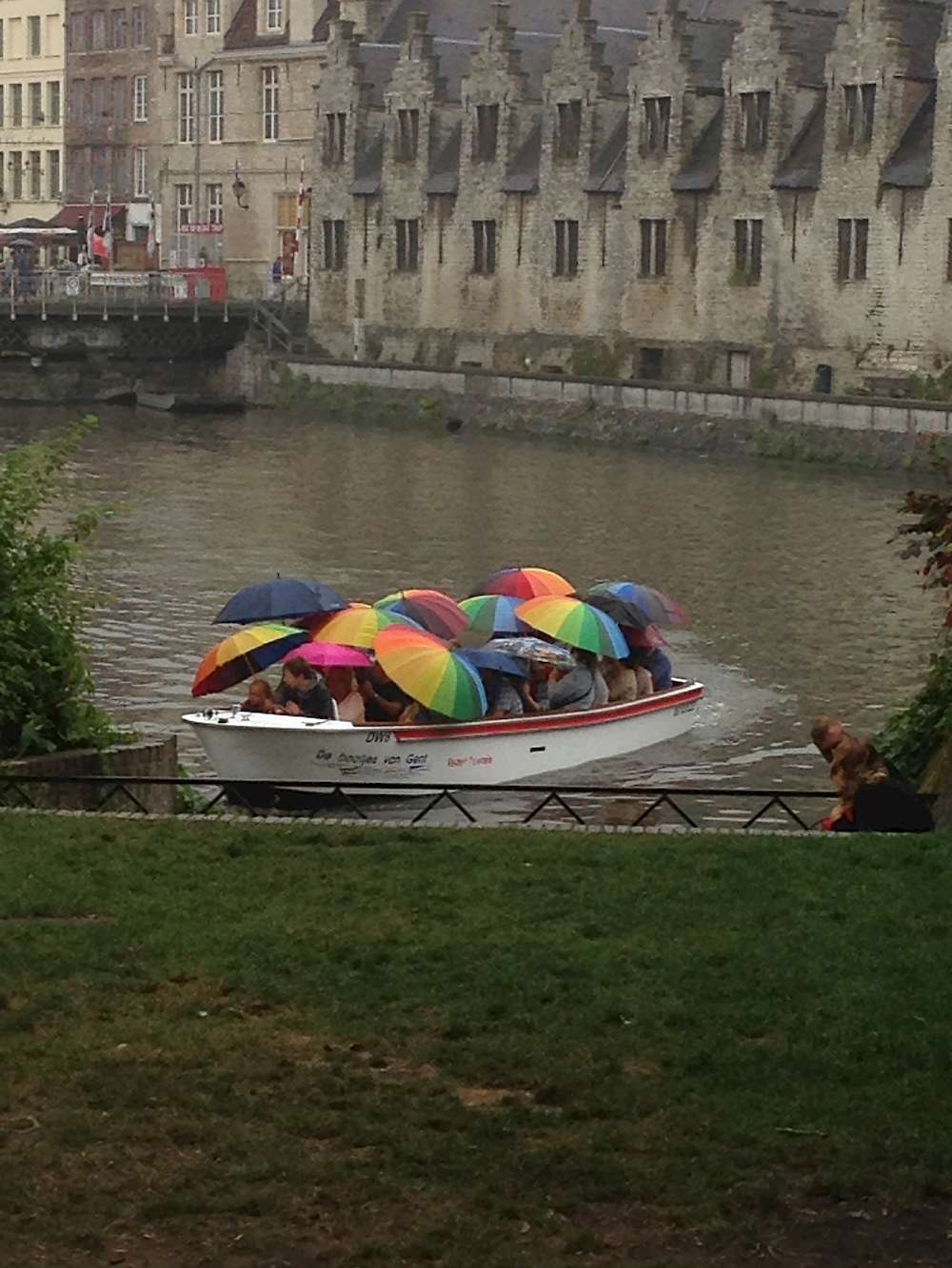 Splash of color on a rainy day, Netherlands