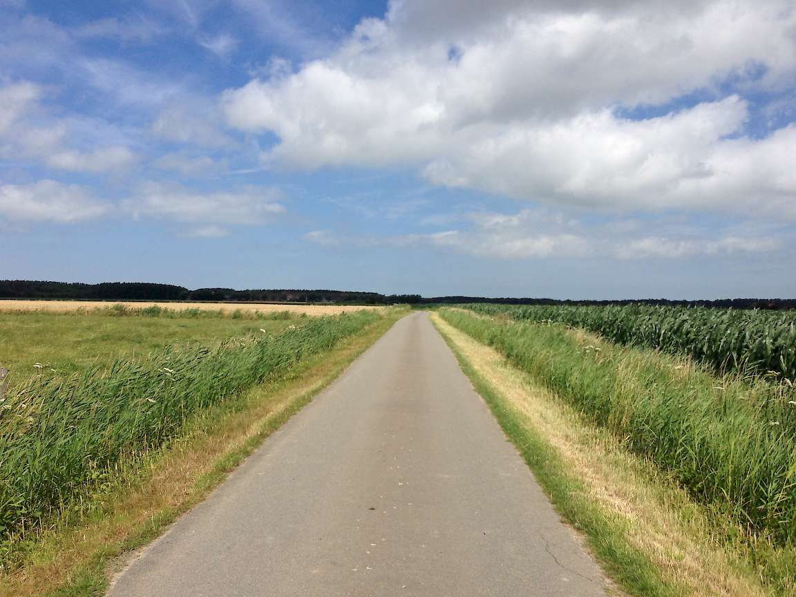 Cycle path Netherlands