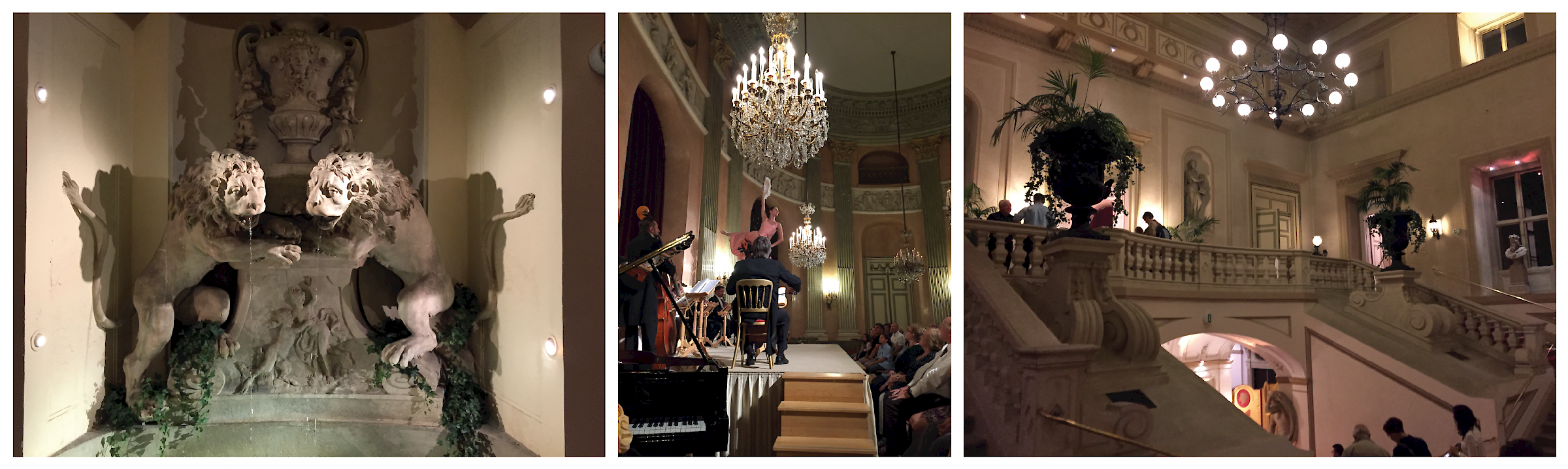 Classic Waltz and Operetta Concert at the Viennese Palais