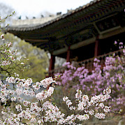 Seoul to Andong Photo