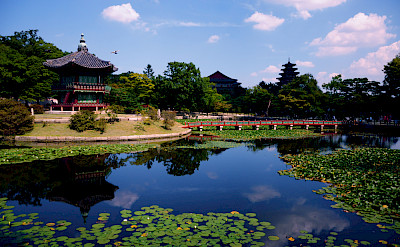 Gorgeous temple in Seoul, South Korea. Photo via Flickr:Ekke