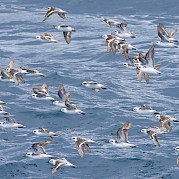 Galapagos Islands Photo