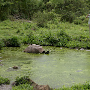 Galapagos Islands Photo