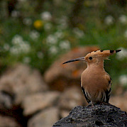 Lanzarote, a Canary Island Bike Tour Photo