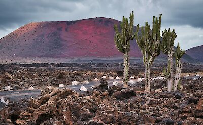 The unique reddish hue of Montana Colorado in Timanfaya National Park. Unsplash@jan-brennenstuhl