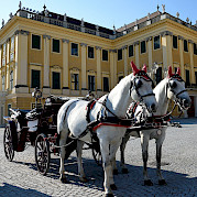 A través del Danubio - Passau, Bratislava, y Viena Foto