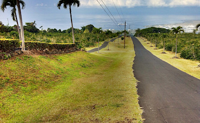 Coffee Plantation Road in Kailua Kona, Hawaii. Photo via Flickr:jai Mansson
