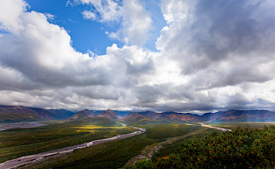 Denali National Park, Alaska. Photo via Flickr:blarrggg