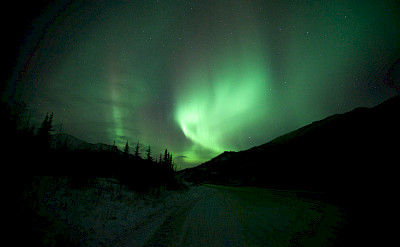 Aurora Borealis or Northern Lights aglow in Denali National Park, Alaska. Photo via Flickr:Malcolm Manners